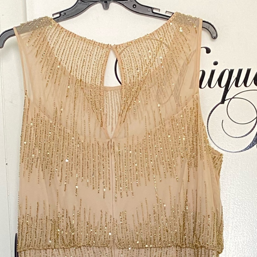 Adrianna papell Champagne/gold fully beaded sheer neckline and fringes gown - Picture 7 of 11